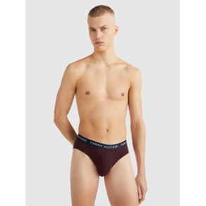 

Paquete De 3 Boxers Slip De Algodón Tommy Hilfiger De Hombre Talla: L