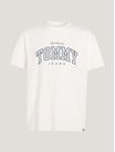 Playera-universitaria-con-logo-de-hombre