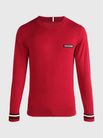 Sueter-Global-Stripe-con-logo-de-hombre