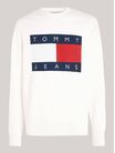 sudadera-de-corte-amplio-con-logo-oversize-de-hombre-tommy-jeans-DM0DM19222-YBH
