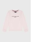 Sudadera-de-Corte-Regular-con-Logo-Bordado-Nino-Tommy-Hilfiger-71J1069-TA1