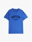 Playera-Varsity-con-efecto-lavado-de-hombre-Tommy-Jeans-DM0DM20356-C6E