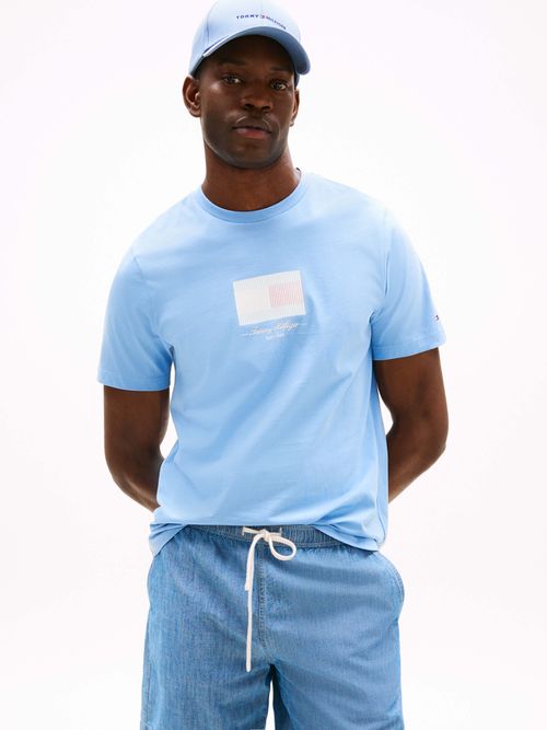 Playera-con-logo-de-rayas-Ithaca-de-hombre-Tommy-Hilfiger-MW0MW39349-C14