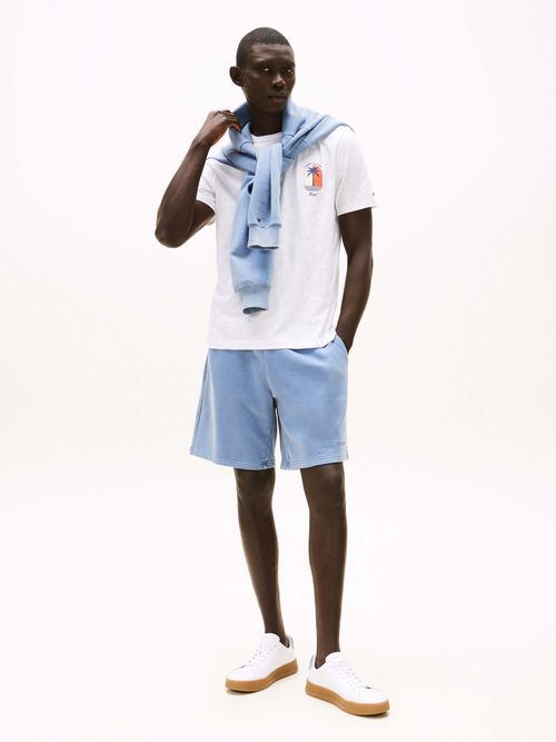 Playera-de-cuello-redondo-con-logo-tropical-de-hombre-Tommy-Hilfiger-MW0MW39354-YBR