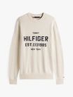 Sueter-de-punto-con-logo-Hilfiger-de-hombre-Tommy-Hildiger-MW0MW39533-HGF