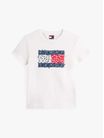 Playera-con-logo-floral-de-mujer-Tommy-Jeans-DW0DW20897-YBL