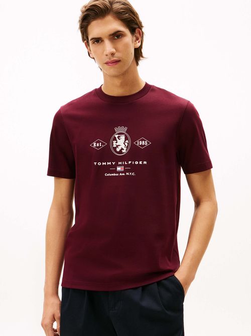 Playera-de-punto-con-logo-y-grafico-de-hombre-Tommy-Hilfiger-MW0MW40020-XIH
