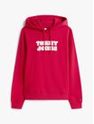 Sudadera-con-capucha-y-logo-estampado-de-mujer-Tommy-Jeans-DW0DW21962-XJP
