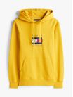 Sudadera-con-capucha-cordon-y-logo-grafico-de-hombre-Tommy-Hilfiger-MW0MW41332-ZF4