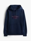 Sudadera-Con-Capucha-Y-Logo-Estampado-Al-Frente-De-Hombre-Tommy-Hilfiger-MW0MW40864-DW5
