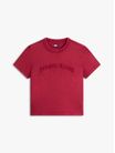 Playera-basica-moderna-con-logo-distintivo-DW0DW22458-VLC